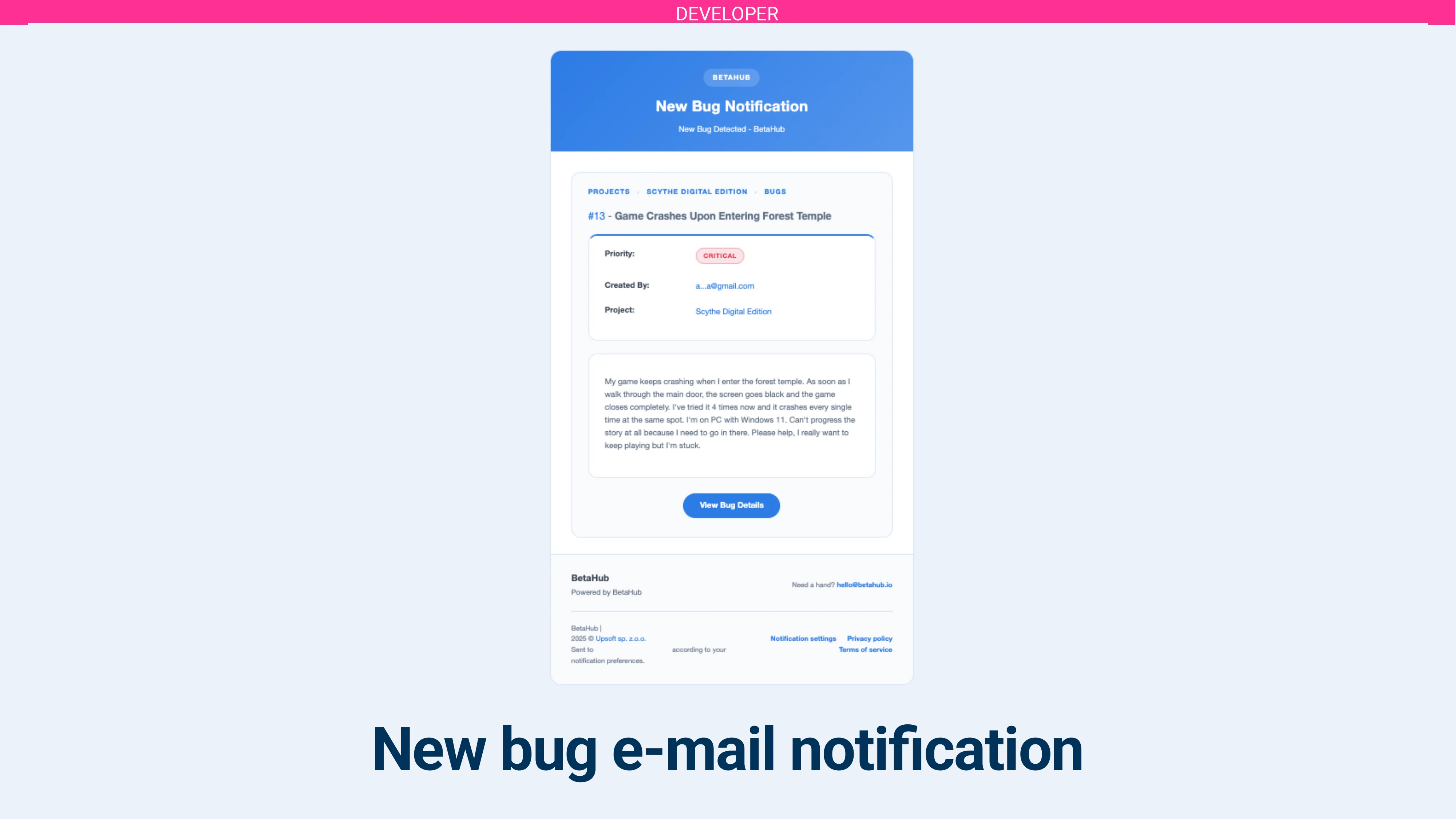 Managing Bugs as a Developer