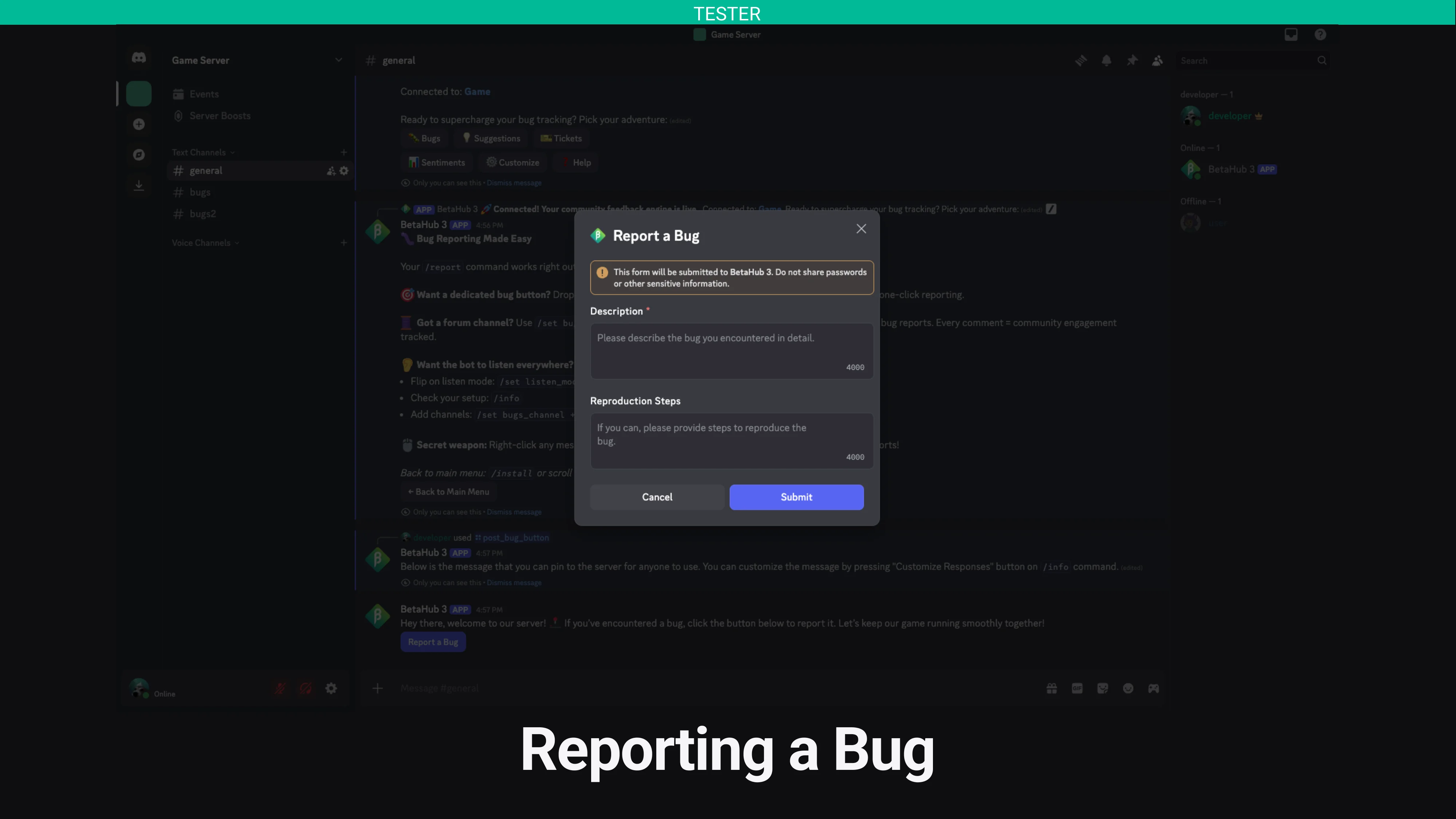 Reporting Bugs via Discord